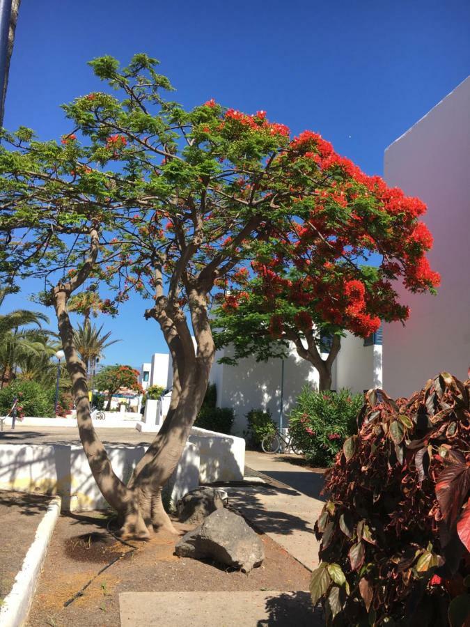 Los Barqueros Corralejo "Beach Front - Town Centre" Ngoại thất bức ảnh